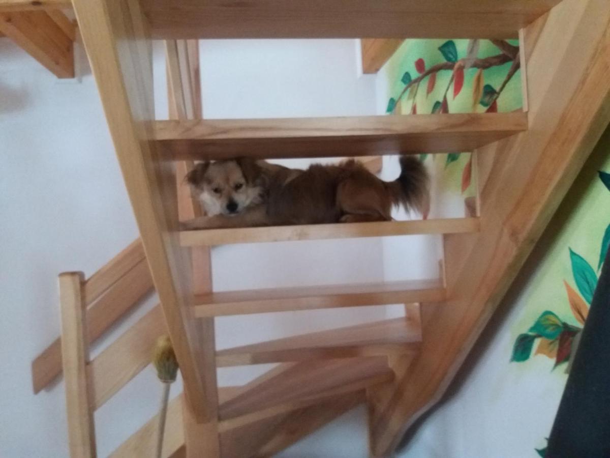 Domek Jaska บาลิกรูด ภายนอก รูปภาพ